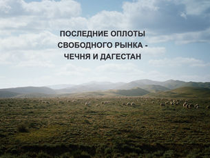 ПОСЛЕДНИЕ ОПЛОТЫ СВОБОДНОГО РЫНКА - ЧЕЧНЯ И ДАГЕСТАН 
