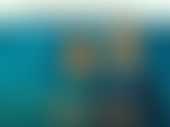 Цифровая устойчивость начинается с компетенций