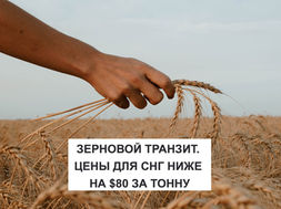 GRAIN TRANSIT. CIS PRICES LOWER $ 80 PER TON