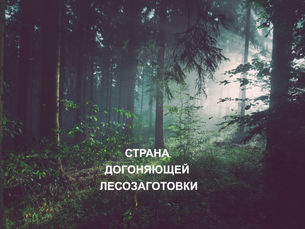СТРАНА ДОГОНЯЮЩЕЙ ЛЕСОЗАГОТОВКИ