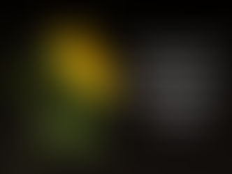 ПОДСОЛНЕЧНЫЕ РАКЕТЫ. ЭКСПОРТ РАСТЕТ В ОБЪЕМАХ И ЦЕНАХ