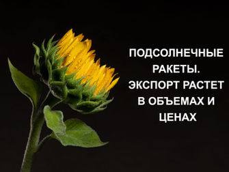 ПОДСОЛНЕЧНЫЕ РАКЕТЫ. ЭКСПОРТ РАСТЕТ В ОБЪЕМАХ И ЦЕНАХ