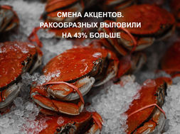 CHANGE OF ACCENTS. CRUSTACEANS CAPTURED 43% MORE