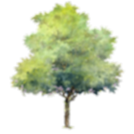 5de6f9e5b1cbc8d04e894659d1a695de (1).png