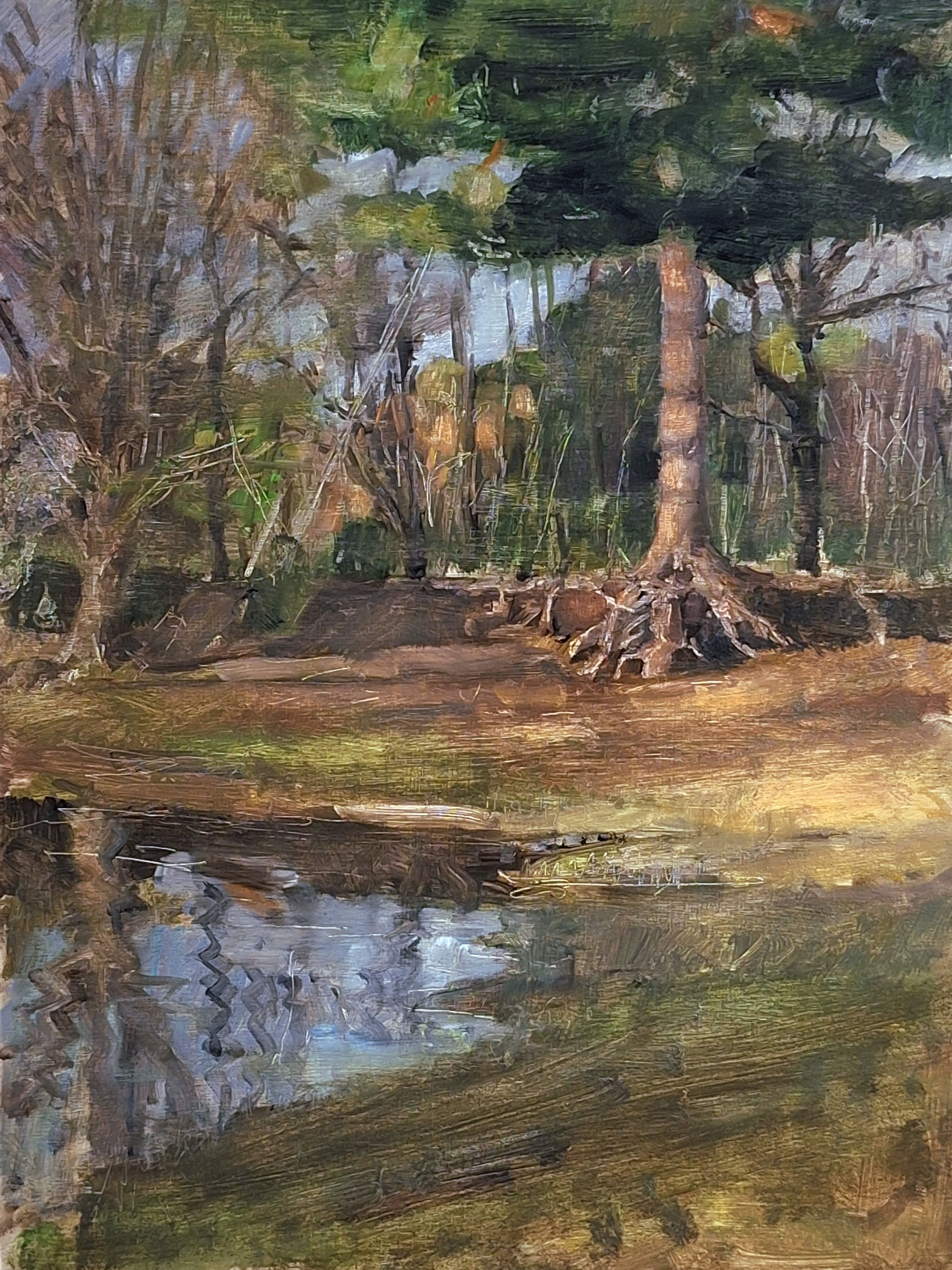 The sandpit, Horsell common