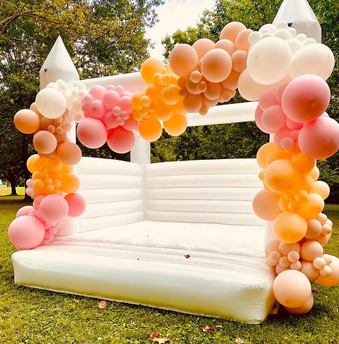 20ft Balloon Garland