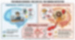 Infographic comparing the rational prefrontal cortex, depicted as a CEO, with the reactive amygdala, shown as a caveman. Includes text and icons.