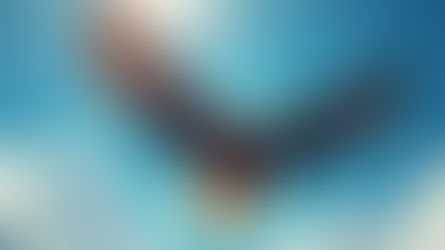 Amazon Rises 44% in a Year: Can GenAI Strength Drive the Stock?