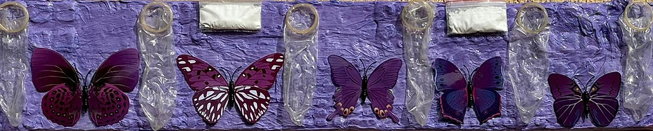 Mania de Transformação