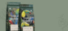 tropical-wonder-cafpe55.jpg