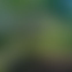 Why can't I get started? Part 3: Some ways to reduce procrastination 