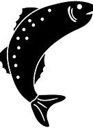 Trout