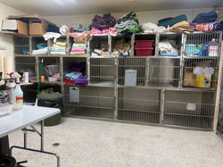 Kennel Room