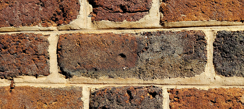 The Enslaved Community at James Madison's Montpelier