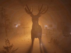 intern gif optimized.gif