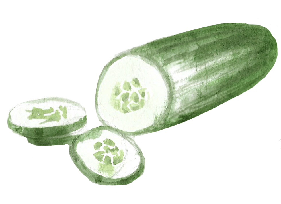 Organic Cucumber