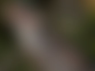 Dreaming About Better Tomorrows