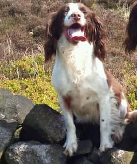 Leahanie Eve at Foxladie