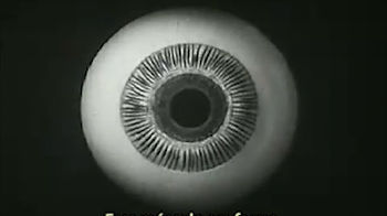 How the eye functions (1941) on Vimeo.mp
