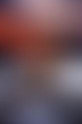 Let's Go Swimming On Doomsday by Natalie C. Anderson