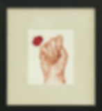 SIGN LANGUAGE - IMPRINT N, 2014