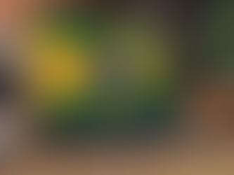 Impulsione Sua Carreira: Aulas Particulares de Inglês para Brasileiros