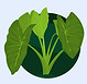 Fern Colouring In Worksheet in Black and White Vintage Style.jpg
