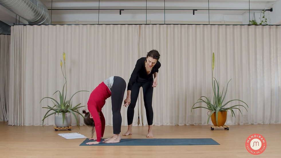 Ajustes Uttanasana