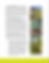 Click to see the full report