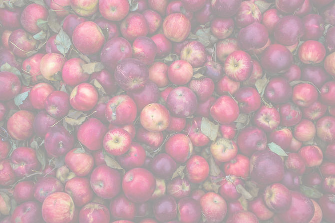 Apple Harvest_edited.jpg