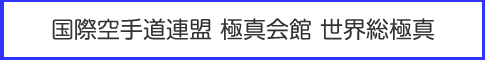 総極真.gif