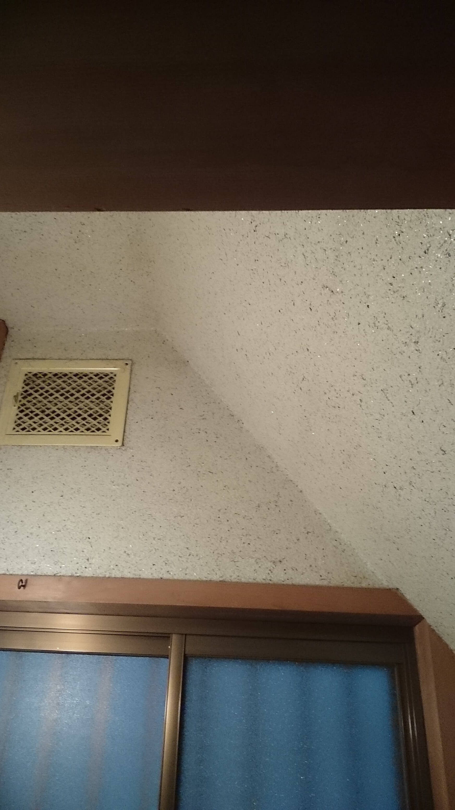リフォーム工事/トイレクロス貼替前