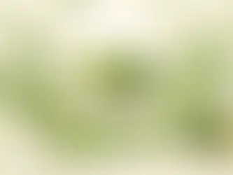 抹茶綠茶甜點從微苦茶香到奶油餘韻,讓生日送禮下午茶都成為更值得期待與分享的慶祝時刻