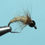 Thumbnail: Caddis Pupa
