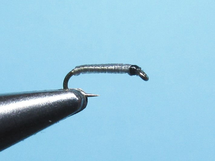 Thumbnail: Midge Larva