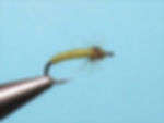 Caddis Larva