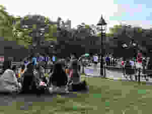 One day in summer