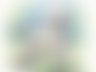 A stylish poodle struts confidently across a lush, green park, showcasing its classic groomed coat and lively demeanor.