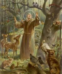 Take the St. Francis Pledge to Care for Creation and the Poor
