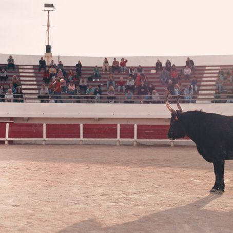 Animale de Emma Benestan: Une agréable surprise féministe