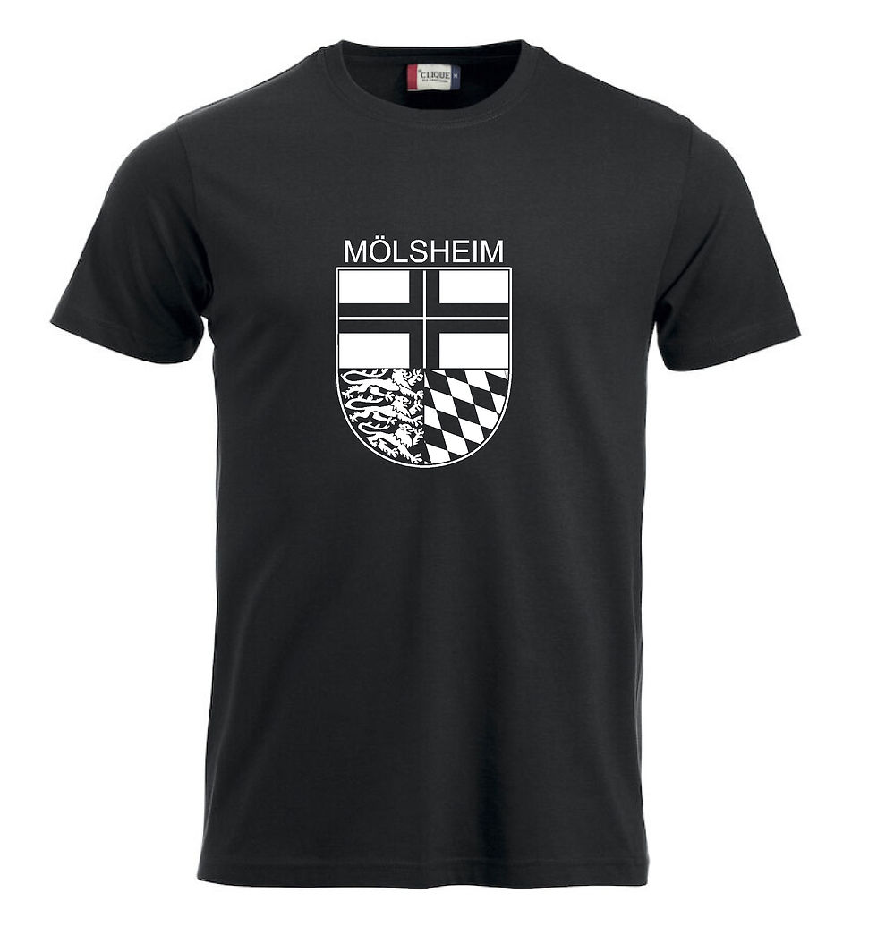 Miniaturbild: T-Shirt Kids inkl. großem Wappen