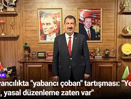 TARIMDAN HABER: HAYVANCILIKTA "YABANCI ÇOBAN" TARTIŞMASI