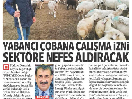 Çelik: Merkez Birliği olarak katkı verdiğimiz yabancı çoban çalışma izni sektöre nefes aldıracak..