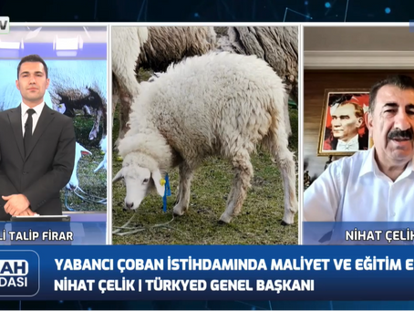 GENEL BAŞKAN ÇELİK KÖY TV EKRANLARINDA ÇOBAN KONUSUNDA GÖRÜŞLERİNİ DİLE GETİRDİ