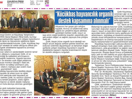 ÇELİK “KÜÇÜKBAŞ HAYVANCILIK ORGANİK DESTEK KAPSAMINA ALINMALI”