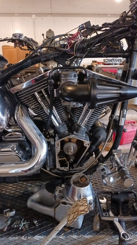 My Project