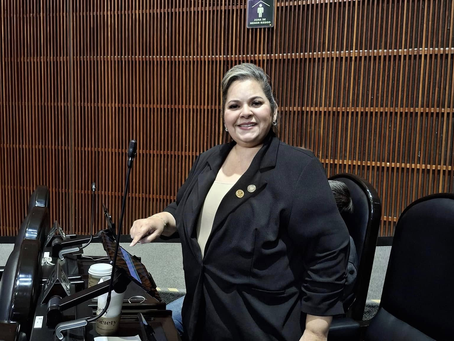 Cámara de Diputados