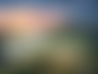 FEBRUARY RESTOCK - Gokano.in