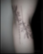 472298051_18481843240045250_2777773374186923908_n - Copy