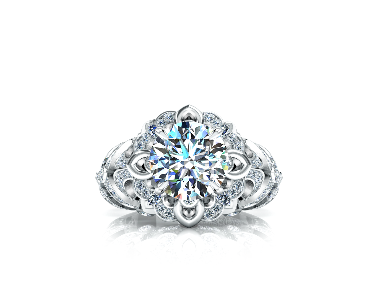 Hermazi® Everlasting Daisy Petite